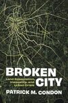 Broken city : land speculation, inequality, and urban crisis