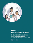 Volet Premières Nations de l’Étude d’incidence québécoise sur les situations évaluées en protection de la jeunesse en 2019