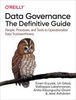 Data governance : the definitive guide