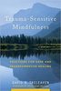 Trauma-sensitive mindfulness : practices for safe and transformative healing